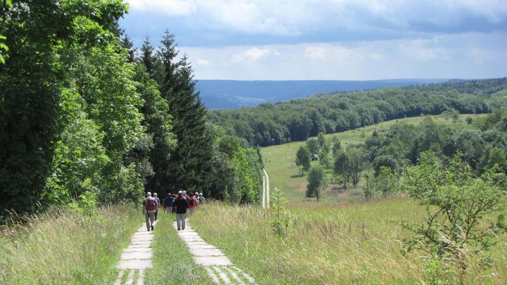 Landhaus Am Westerwald Martinfeld Экстерьер фото